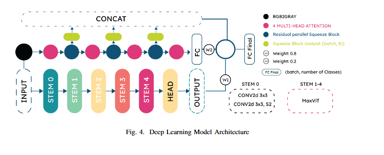 WnD-UNET: Waveform + DWT 1D Deep Learning for Speech Enhancement